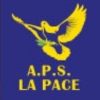 logo2